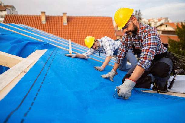 Roof Waterproofing Services in Mason, MI